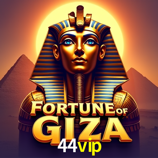 Experiência VIP 44vip